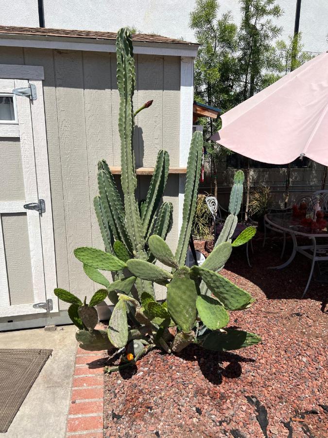 Private Los Angeles Room - Free Wifi, Ac, Tv, Private Fridge, Kitchen, Near Usc - Exposition Park - Usc Memorial Coliseum - Banc Of California Bmo Stadium - Downtown Los Angeles Dtla - University Of Southern California Usc!! Bagian luar foto